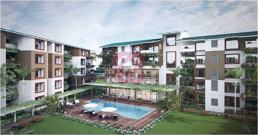 Umiya-Umiya Woods Cover Image